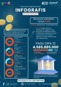 Realisasi Anggaran 2025 01